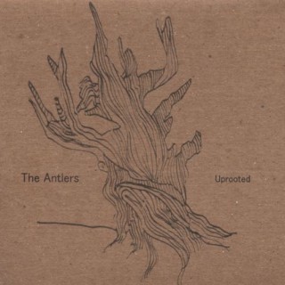 The Antlers - Uprooted - Tekst piosenki, lyrics - teksciki.pl