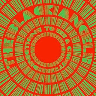The Black Angels - You On The Run - Tekst piosenki, lyrics - teksciki.pl