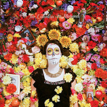 The Collection - Garden - Tekst piosenki, lyrics - teksciki.pl