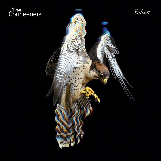 The Courteeners - Sycophant - Tekst piosenki, lyrics - teksciki.pl