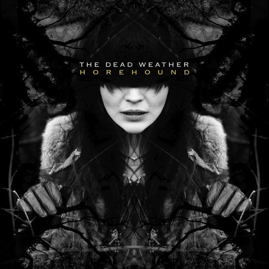 The Dead Weather - I Cut Like A Buffalo - Tekst piosenki, lyrics - teksciki.pl