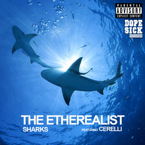 The Etherealist - Sharks - Tekst piosenki, lyrics - teksciki.pl