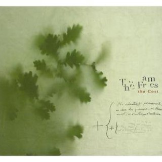 The Frames - The Cost - Tekst piosenki, lyrics - teksciki.pl