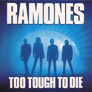 The Ramones - Wart Hog - Tekst piosenki, lyrics - teksciki.pl