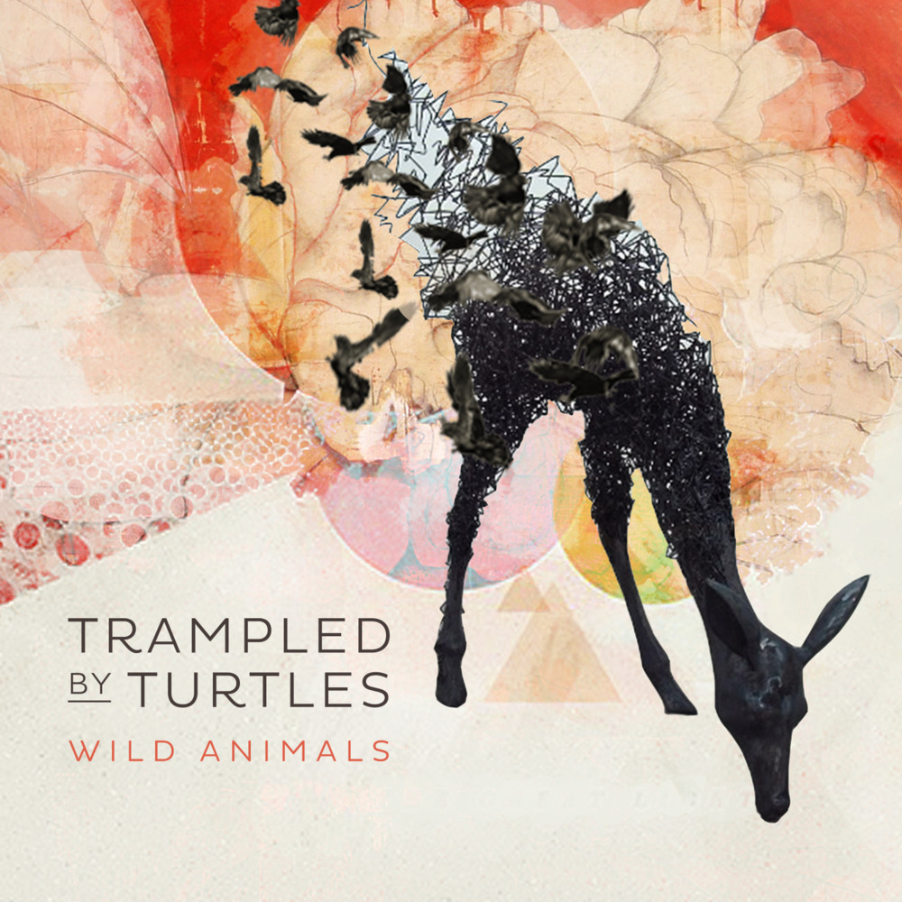 Trampled by Turtles - Winners - Tekst piosenki, lyrics - teksciki.pl
