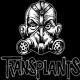 Transplants - One Seventeen - Tekst piosenki, lyrics - teksciki.pl