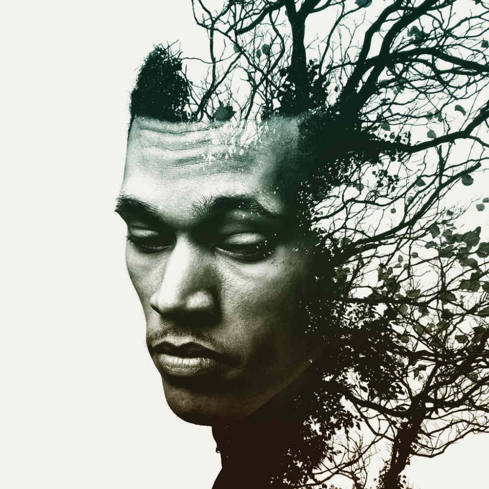 Trip Lee - Insomniac - Tekst piosenki, lyrics - teksciki.pl