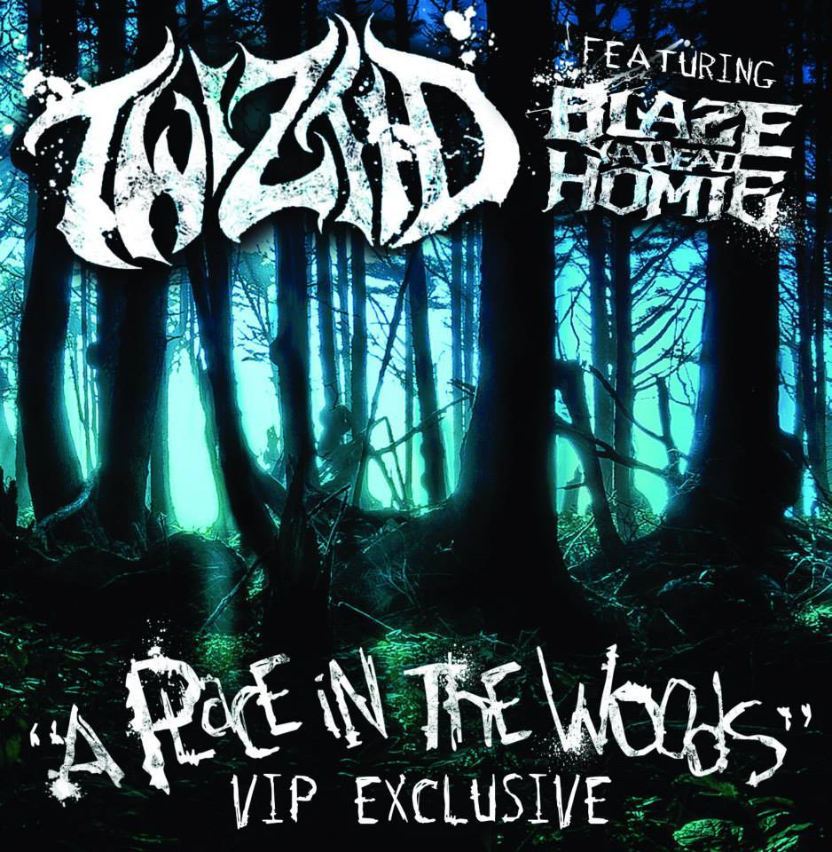 Twiztid - A Place In The Woods - Tekst piosenki, lyrics - teksciki.pl