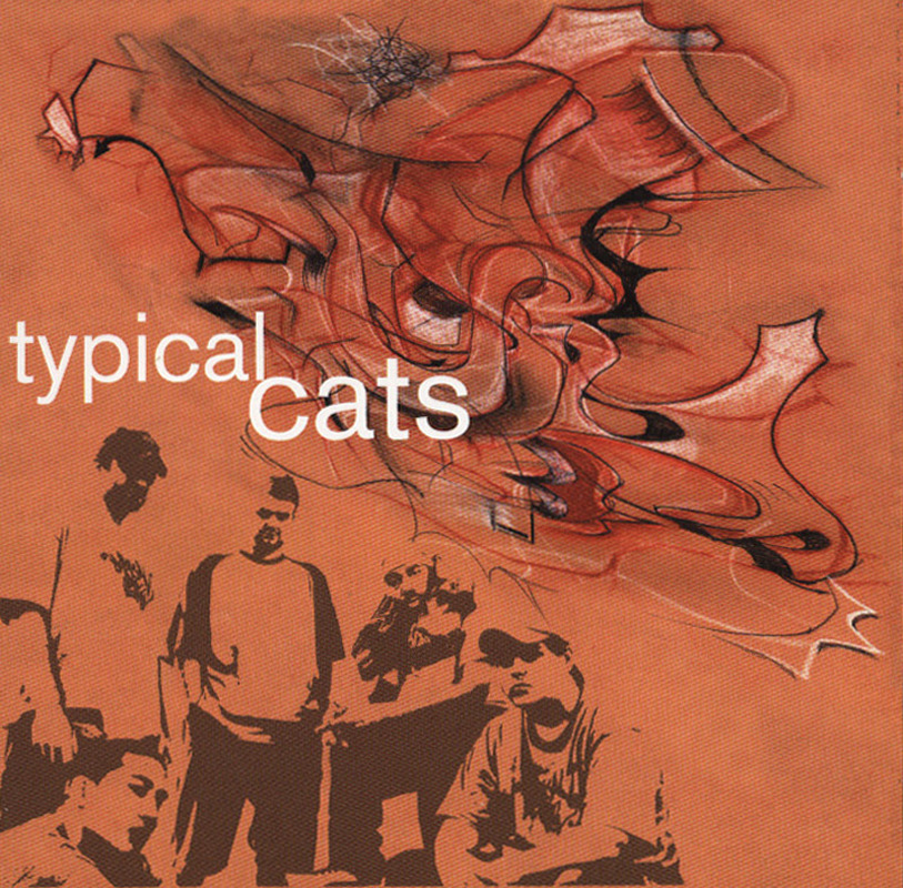 Typical Cats - Any Day - Tekst piosenki, lyrics - teksciki.pl