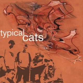 Typical Cats - Snake Oil - Tekst piosenki, lyrics - teksciki.pl