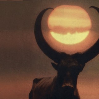 Ulver - Like Music - Tekst piosenki, lyrics - teksciki.pl