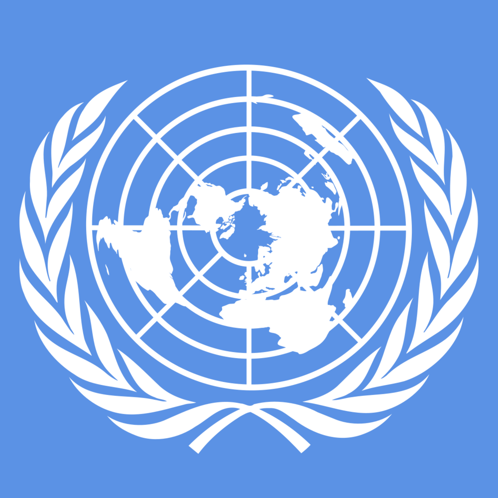 United Nations General Assembly - The Right to Privacy in the Digital Age - Tekst piosenki, lyrics - teksciki.pl