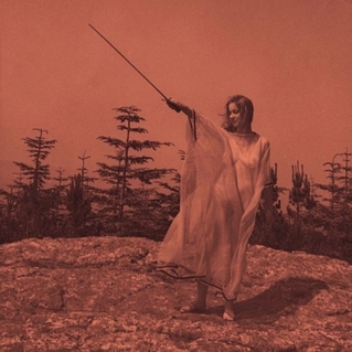 Unknown Mortal Orchestra - Monki - Tekst piosenki, lyrics - teksciki.pl