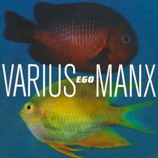 Varius Manx - Orła cień - Tekst piosenki, lyrics - teksciki.pl