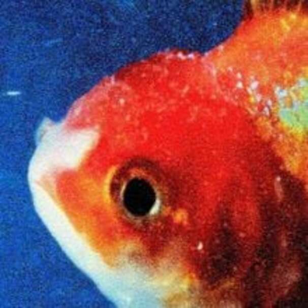 Vince Staples - Big Fish - Tekst piosenki, lyrics - teksciki.pl