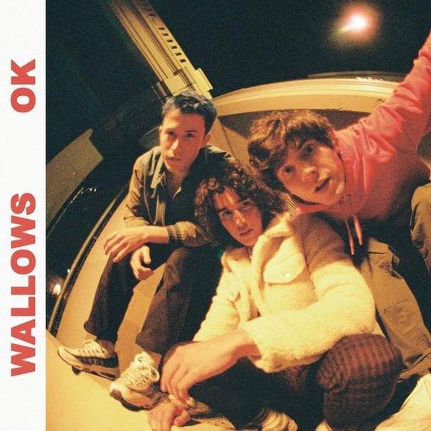 Wallows - OK - Tekst piosenki, lyrics - teksciki.pl