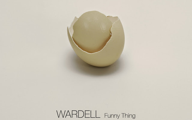 Wardell - Funny Thing - Tekst piosenki, lyrics - teksciki.pl