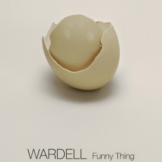 Wardell - Funny Thing - Tekst piosenki, lyrics - teksciki.pl