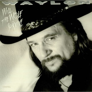 Waylon Jennings - The Shadow Of Your Distant Friend - Tekst piosenki, lyrics - teksciki.pl