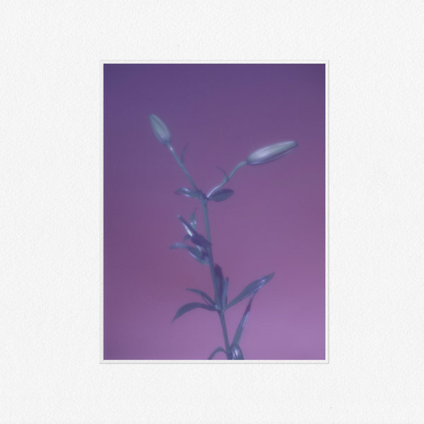 Wet - It's All in Vain - Tekst piosenki, lyrics - teksciki.pl