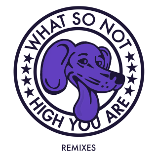 What So Not - High You Are (Branchez Remix) - Tekst piosenki, lyrics - teksciki.pl