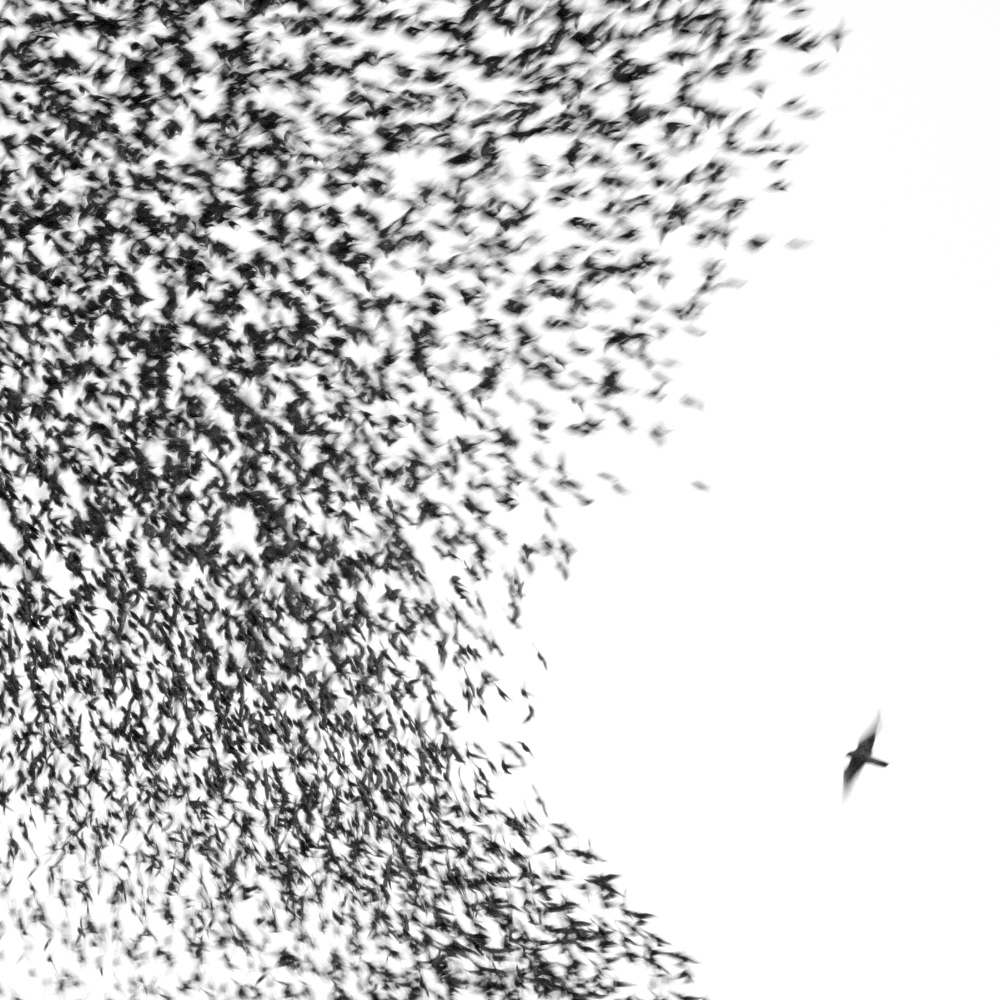 Wilco - Either Way - Tekst piosenki, lyrics - teksciki.pl