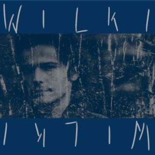 Wilki (PL) - Son of the Blue Sky - Tekst piosenki, lyrics - teksciki.pl