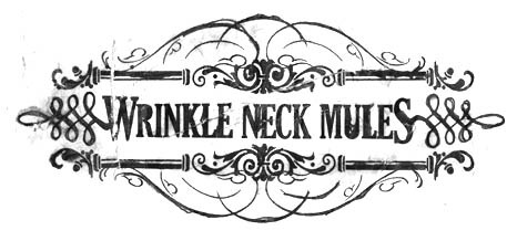 Wrinkle Neck Mules - Chemical Dependence - Tekst piosenki, lyrics - teksciki.pl