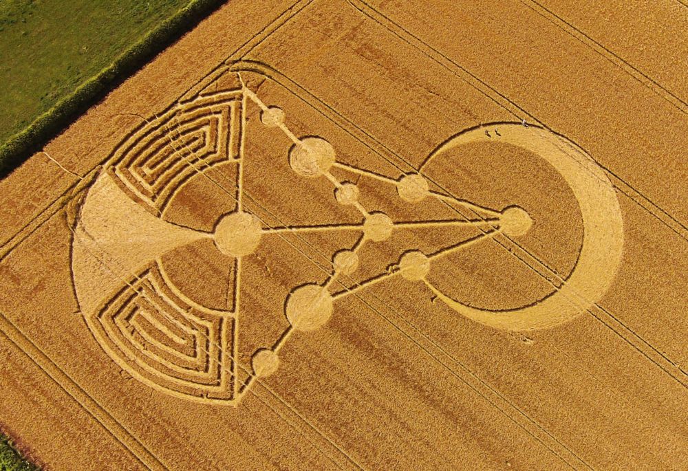 X-Men - Crop Circle - Tekst piosenki, lyrics - teksciki.pl