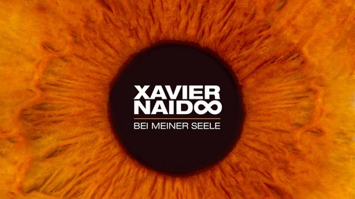 Xavier Naidoo - So Schön Wie Früher - Tekst piosenki, lyrics - teksciki.pl