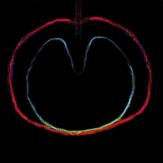 XTC - Church of Women - Tekst piosenki, lyrics - teksciki.pl