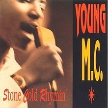 Young MC - Roll With The Punches - Tekst piosenki, lyrics - teksciki.pl