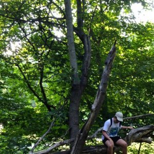 Yung Lean - GINSENG STRIP 2002 - Tekst piosenki, lyrics - teksciki.pl