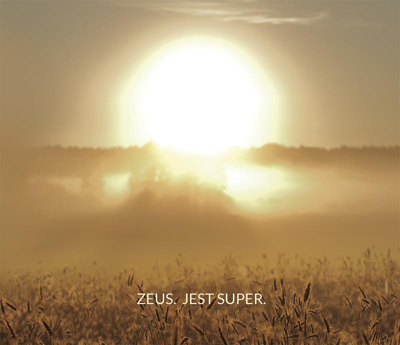 Zeus - Nie potrzebuję wiele - Tekst piosenki, lyrics - teksciki.pl